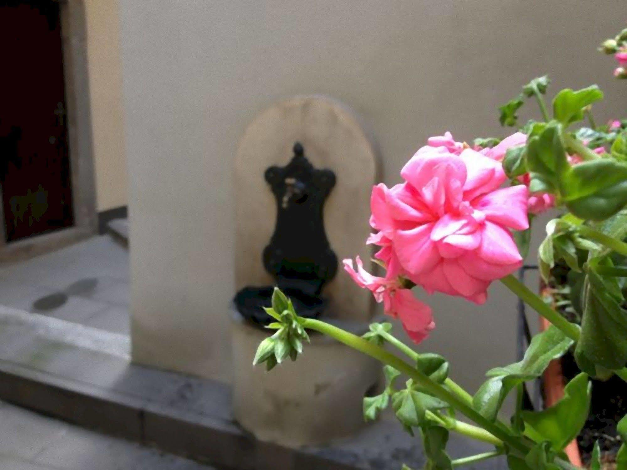 Appartement Dream House à Bergame Extérieur photo